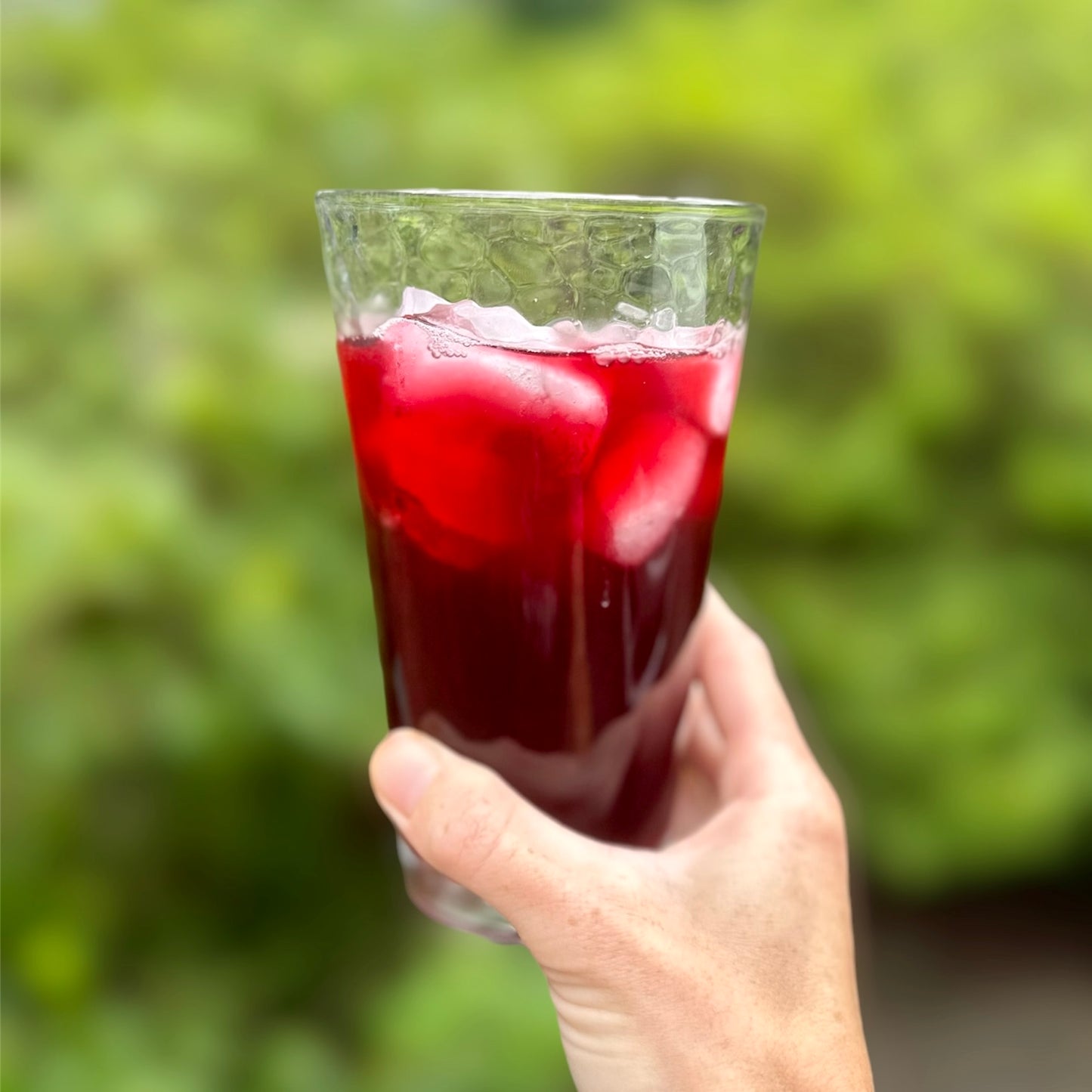 Wellness Tea