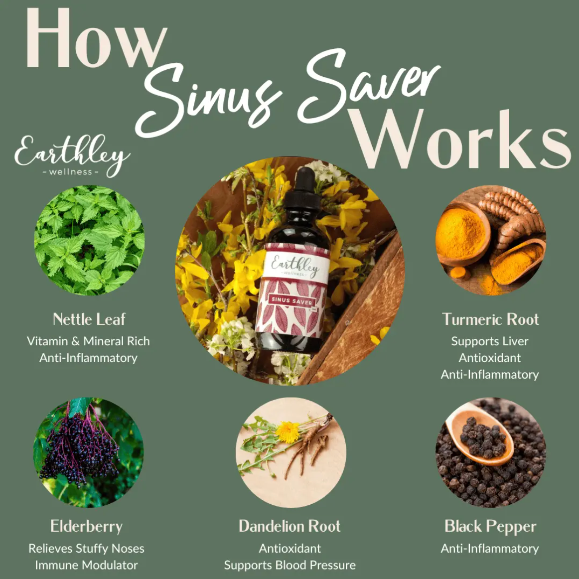 Earthley Sinus Saver