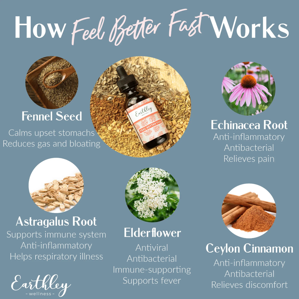 Earthley Feel Better Fast