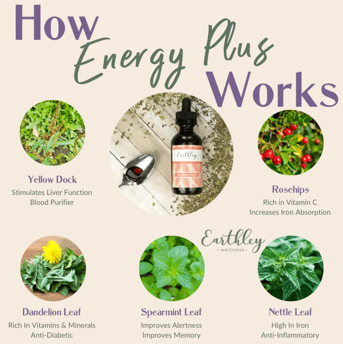 Earthley Energy Plus